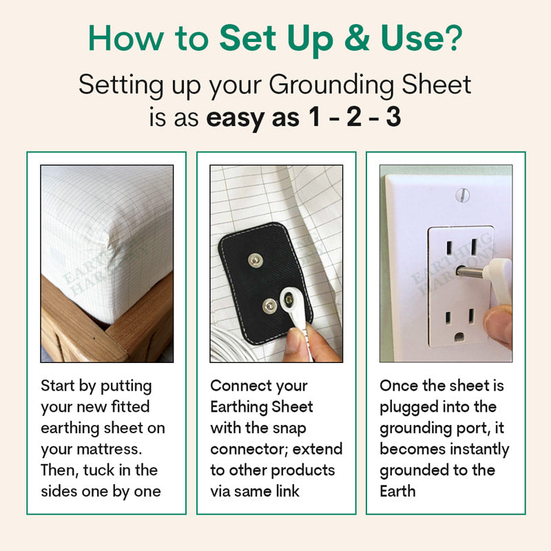 Cortisol Reset Grounding Sheet